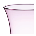 Plum Glass 15 cl