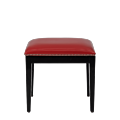 Divano Ottoman in Black with Red Seat Pad