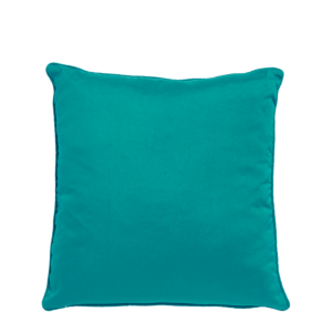 Turquoise and White Cushion