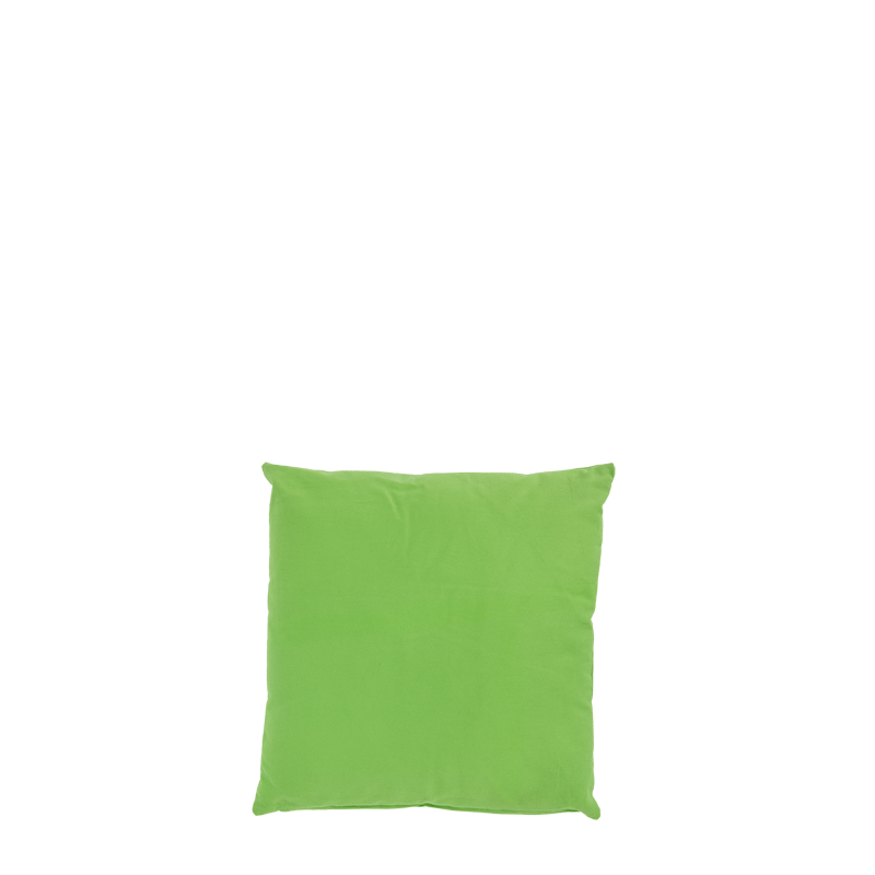 Light Green Cushion